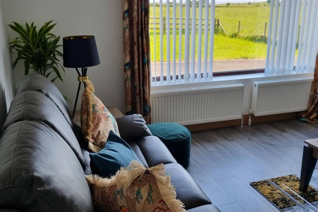 Grace'S Place With Hot Tub & Games Room Carrickfergus Dış mekan fotoğraf