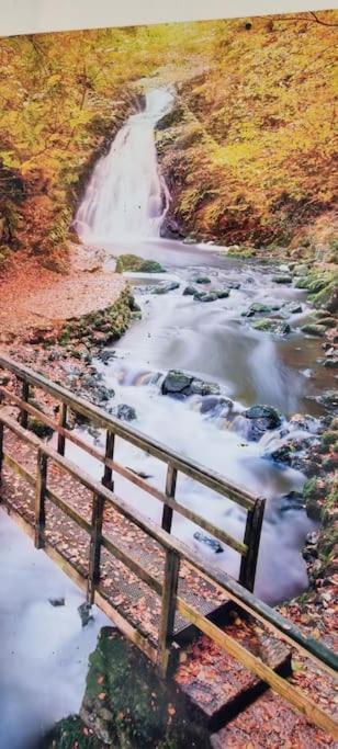 Grace'S Place With Hot Tub & Games Room Carrickfergus Dış mekan fotoğraf